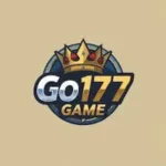 GO177 Game i